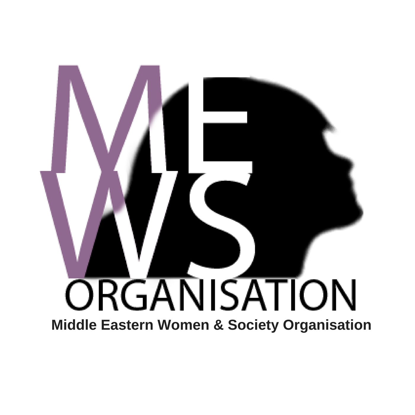 logo for Middle Eastern Women and Society Organisation .