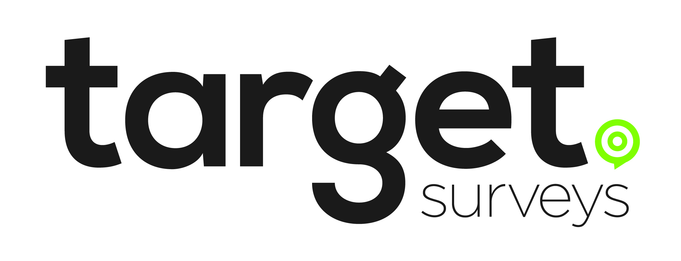logo for Target Surveys Limited