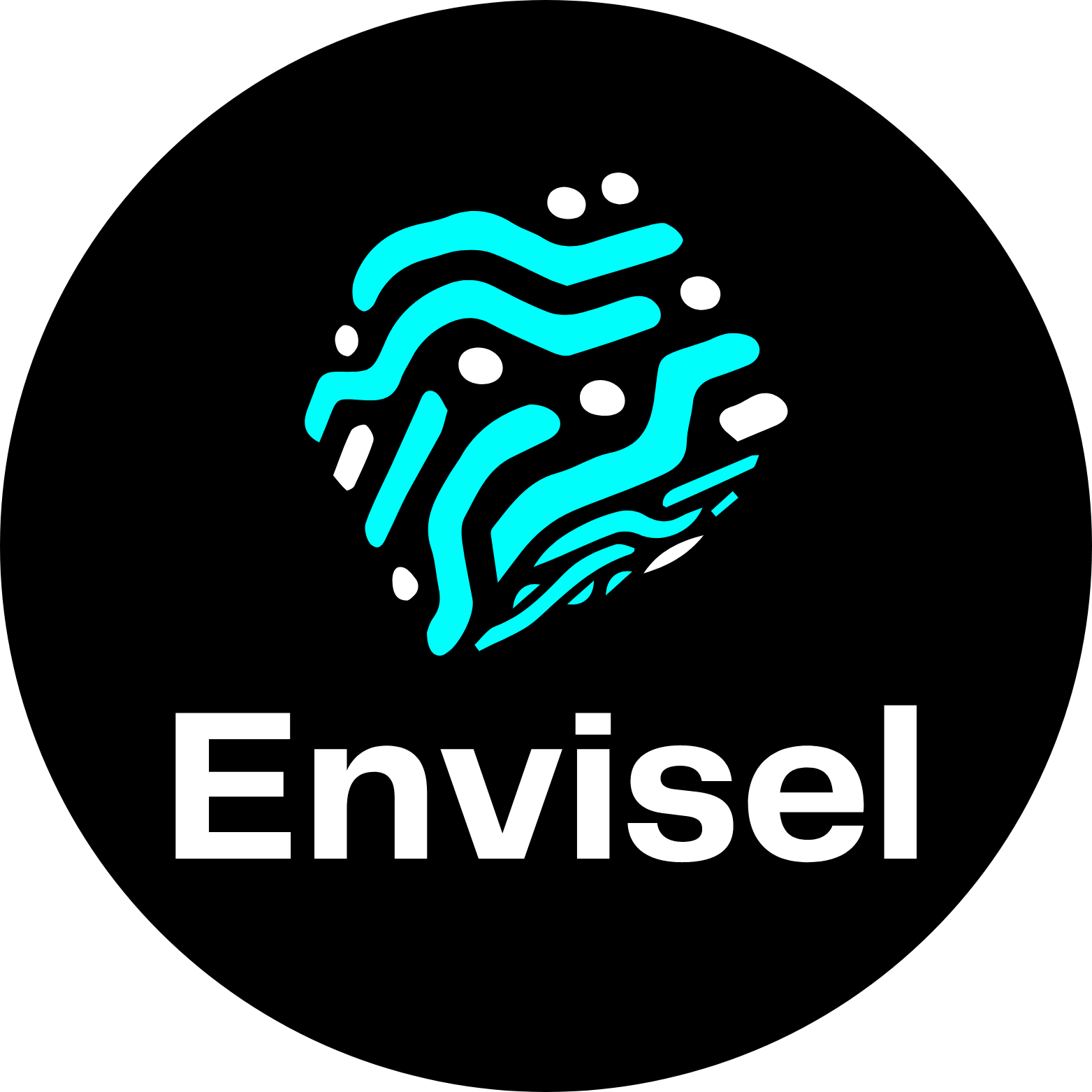 logo for Envisel Ltd