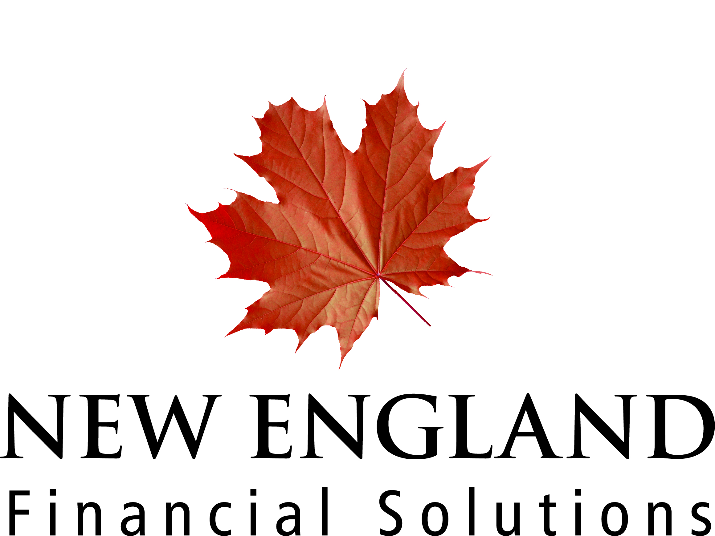 logo for New England Financial Solutions
