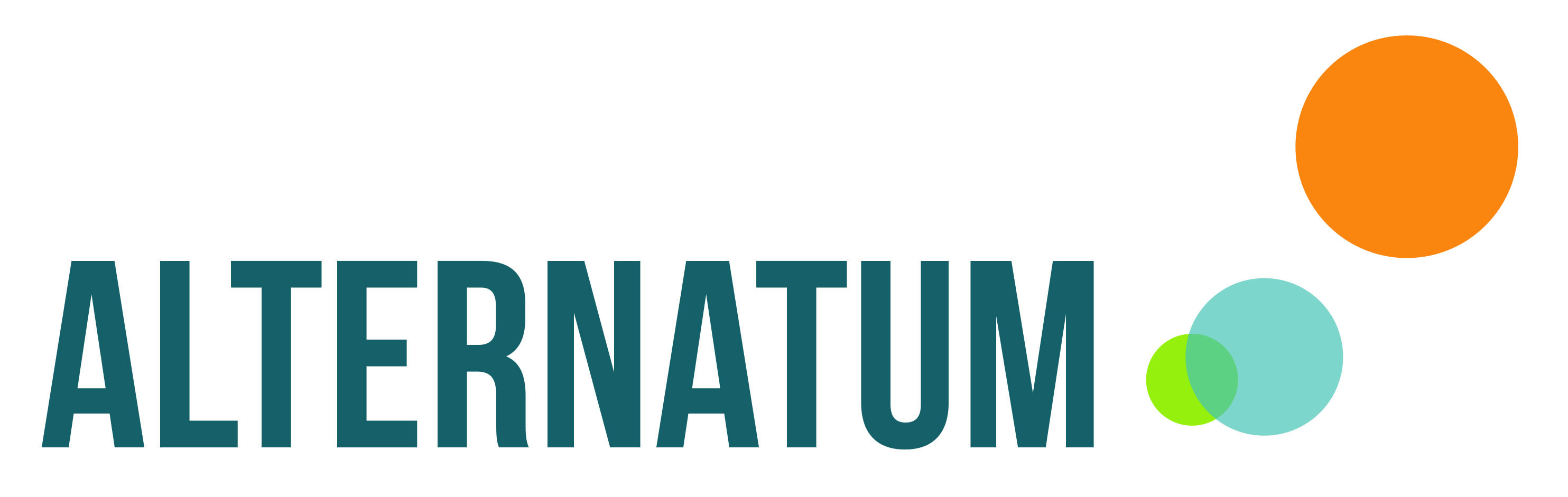 logo for Alternatum IT