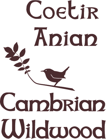 logo for Coetir Anian - Cambrian Wildwood