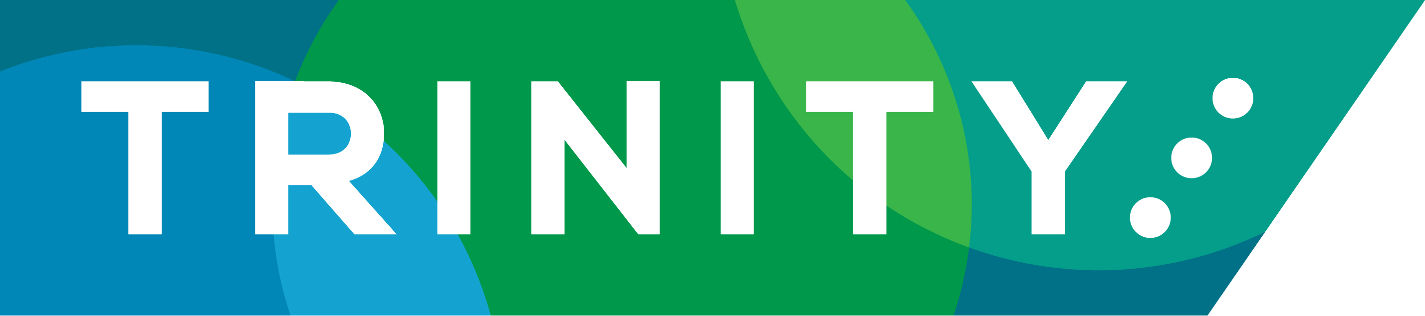 logo for Trinity Community Arts Ltd