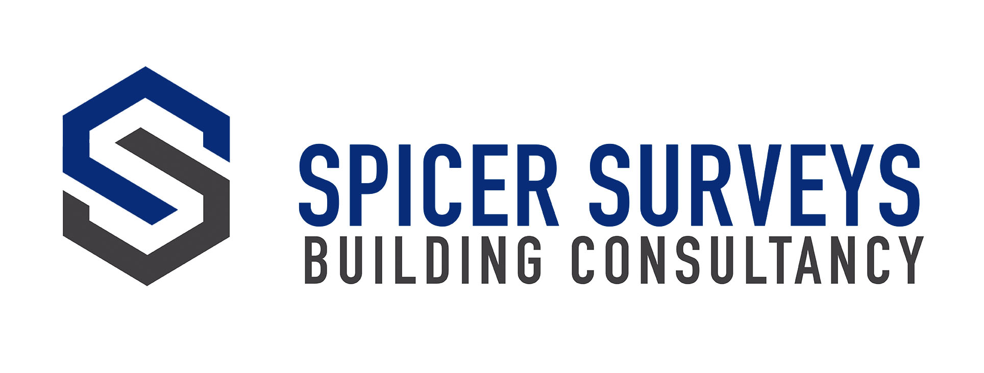 logo for Spicer Surveys