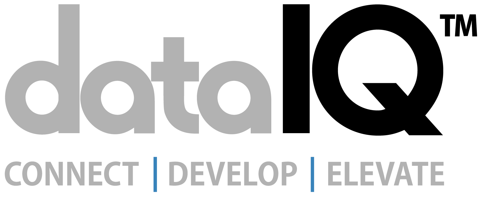logo for DataIQ