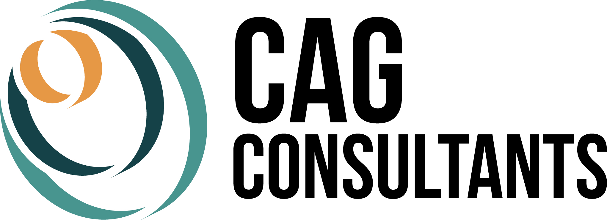 logo for CAG Consultants