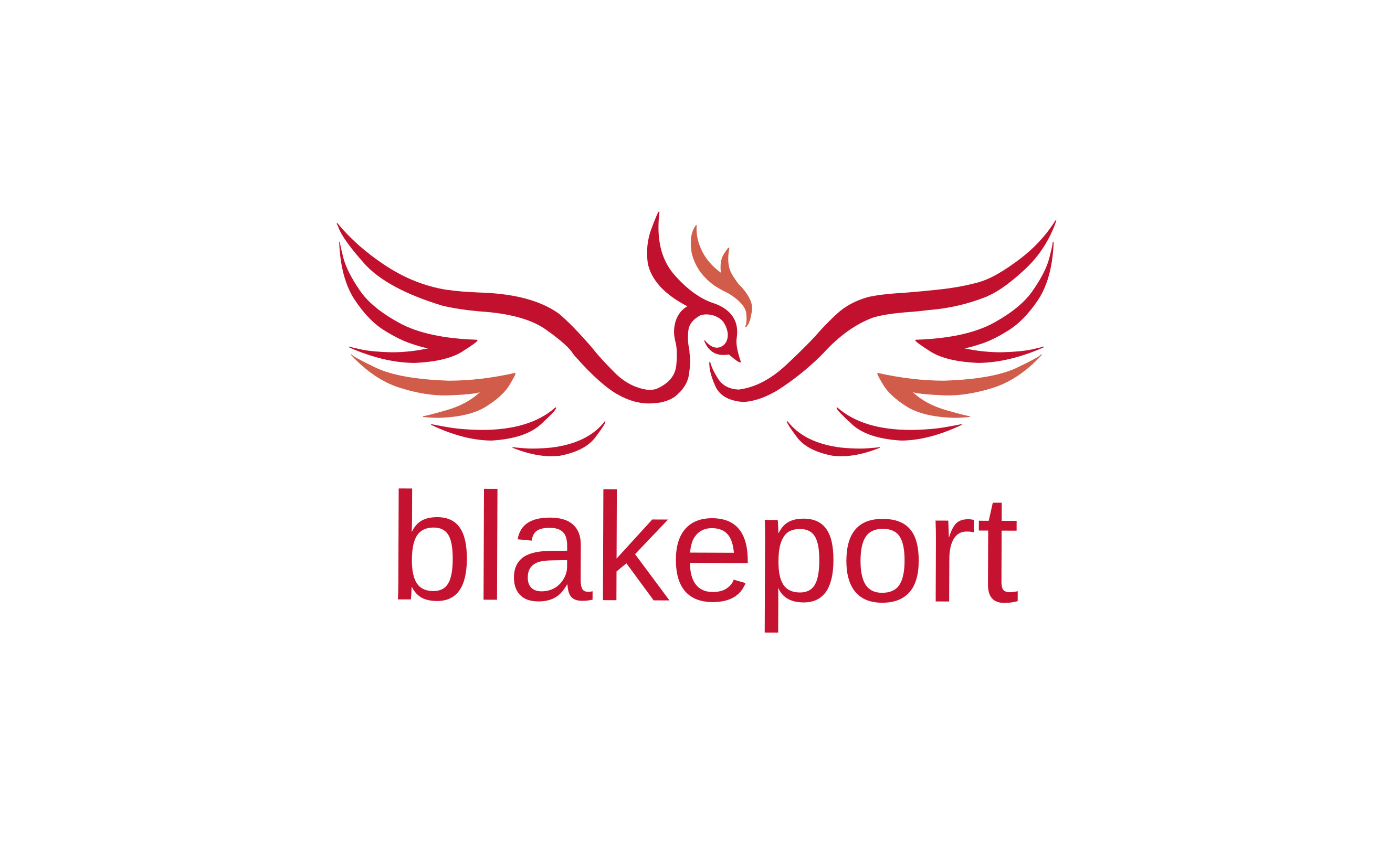 logo for Blakeport Group