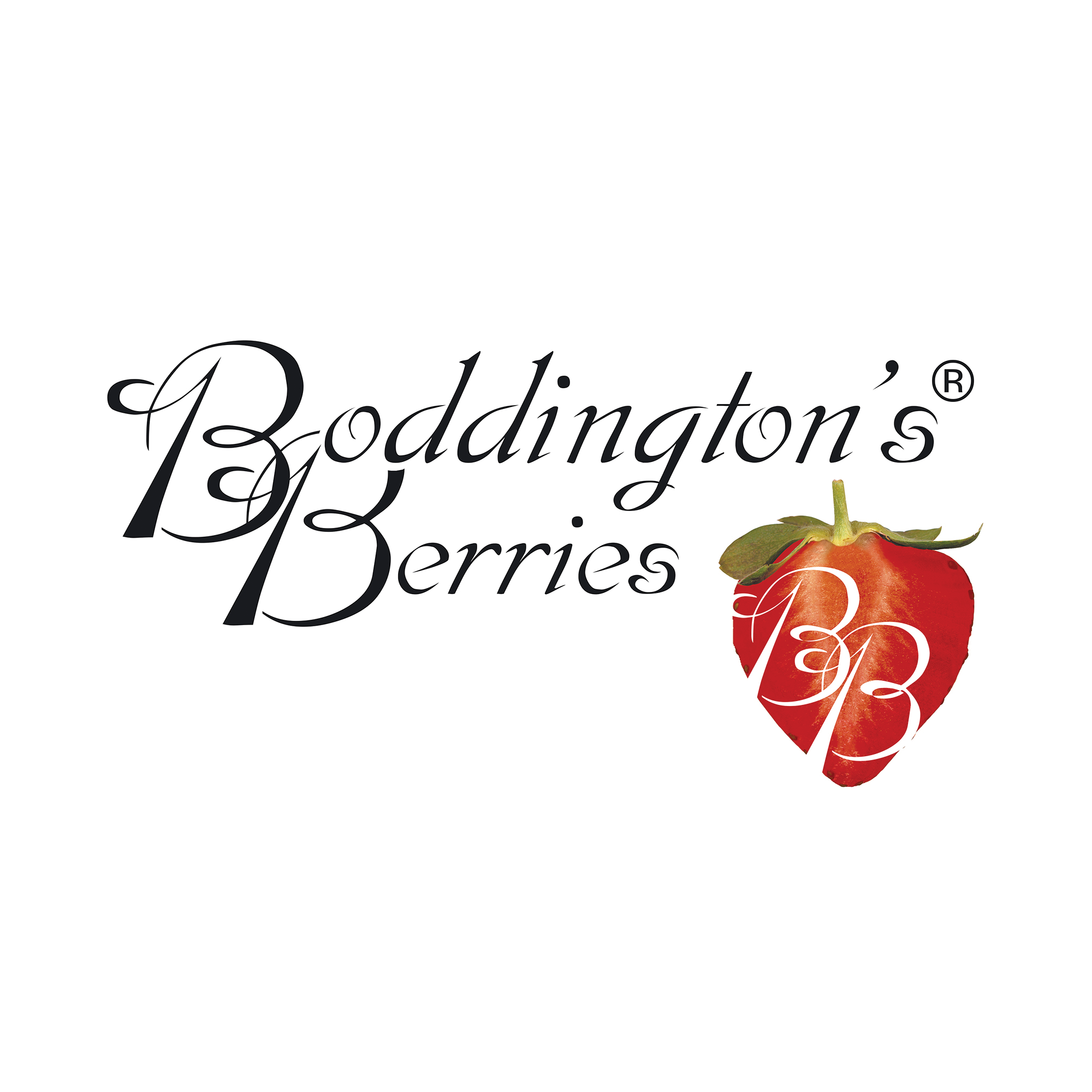 logo for Boddington's Berries Ltd