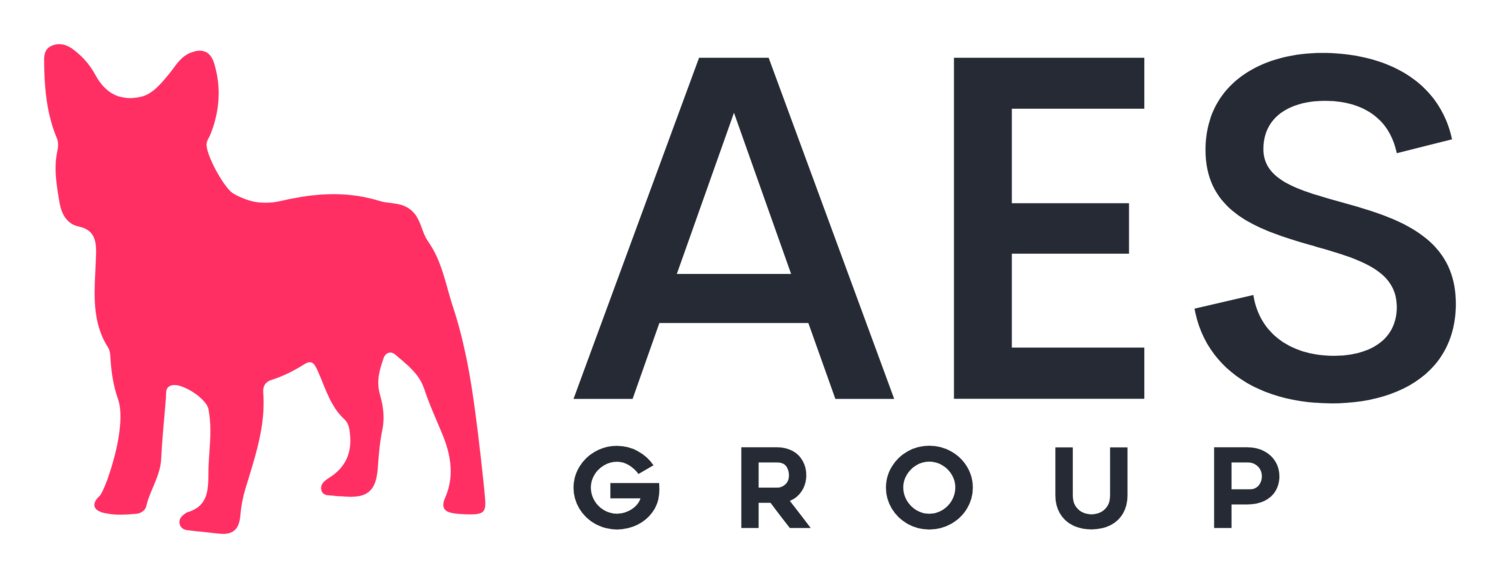 logo for AES Group