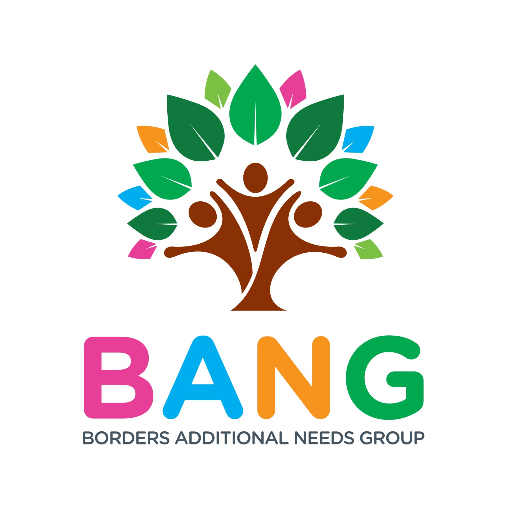 logo for Borders Additional Needs Group