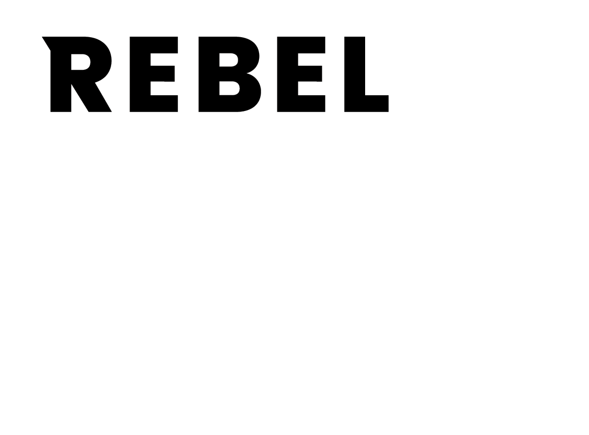 logo for The Rebel Business School