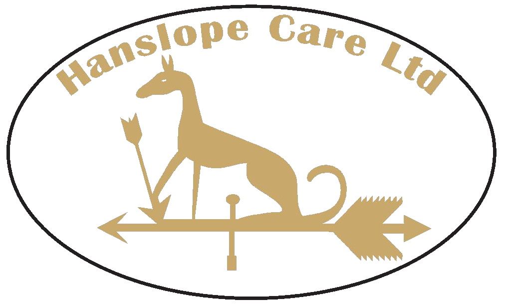 logo for Hanslope Care