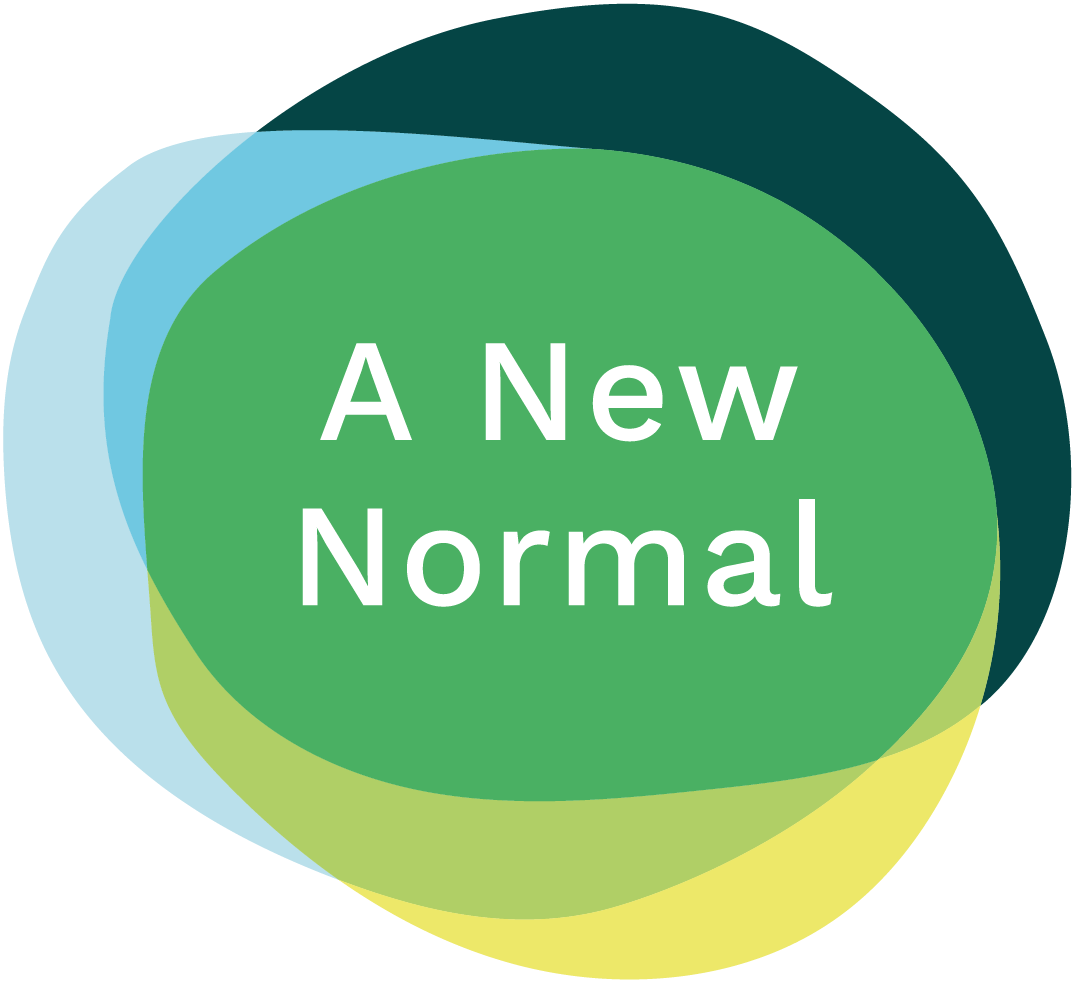 logo for A New Normal Ltd