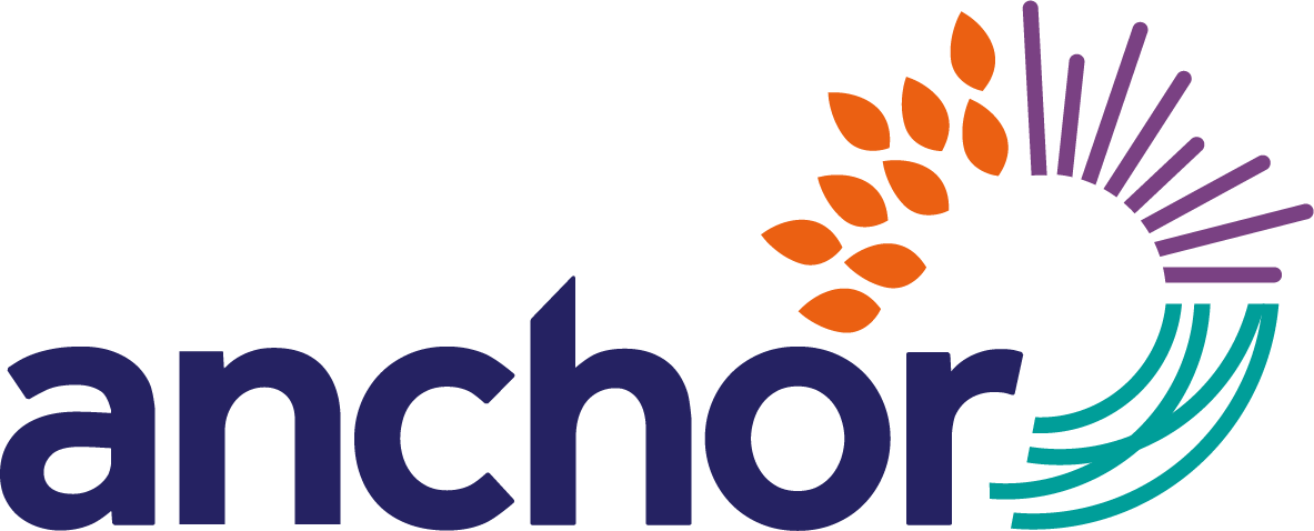 logo for ANCHOR