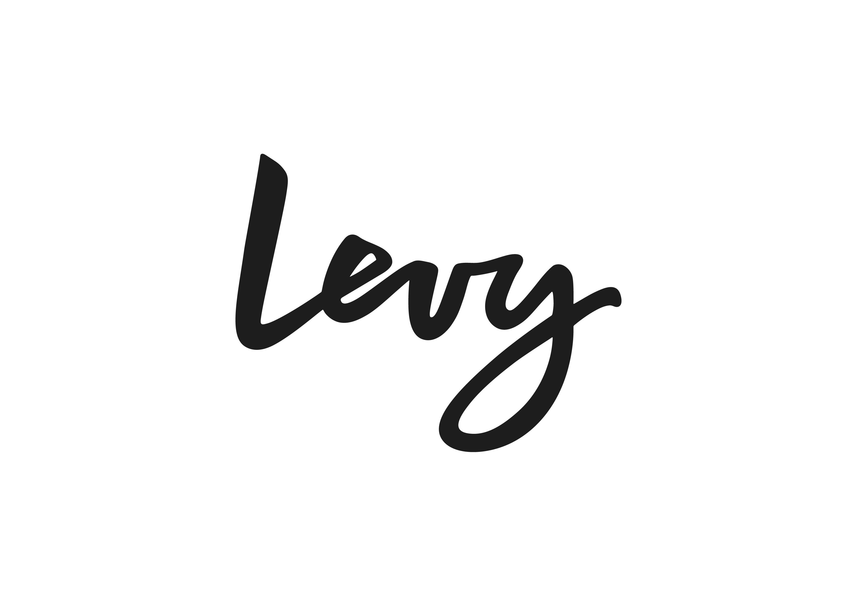 logo for Levy