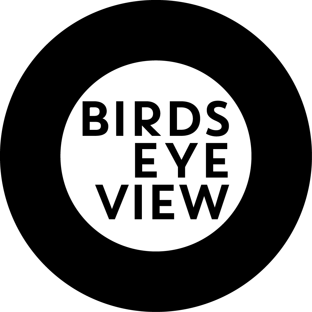 logo for Birds' Eye View