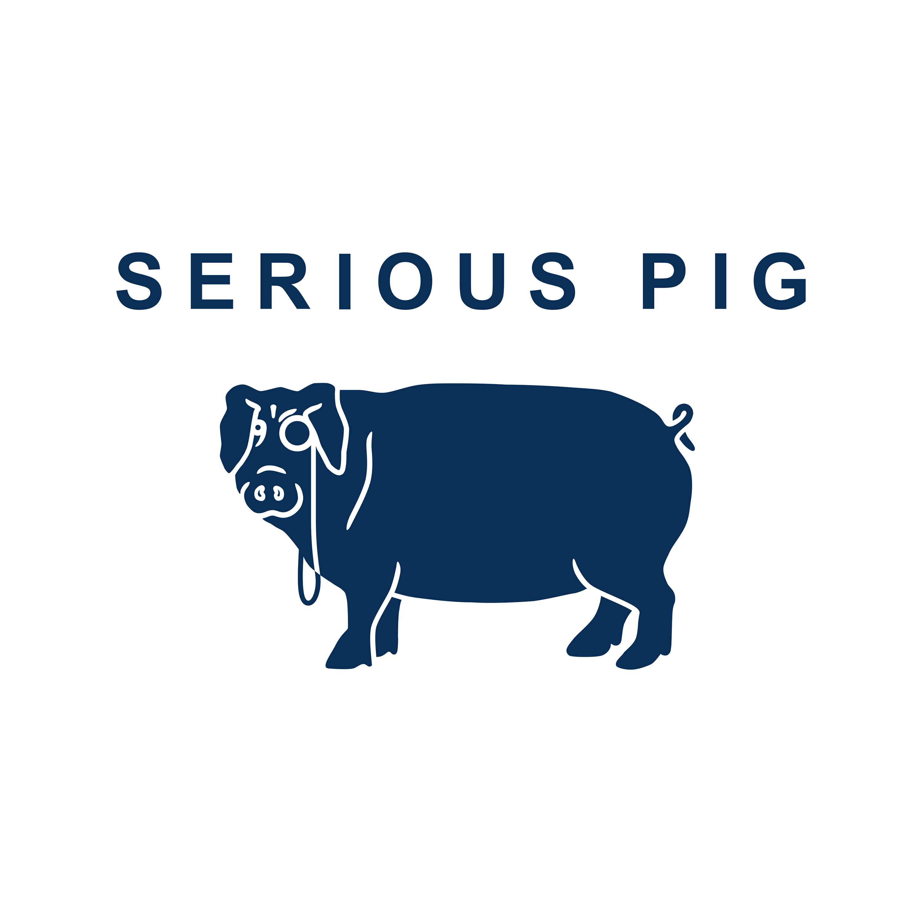 logo for Serious Pig Limited