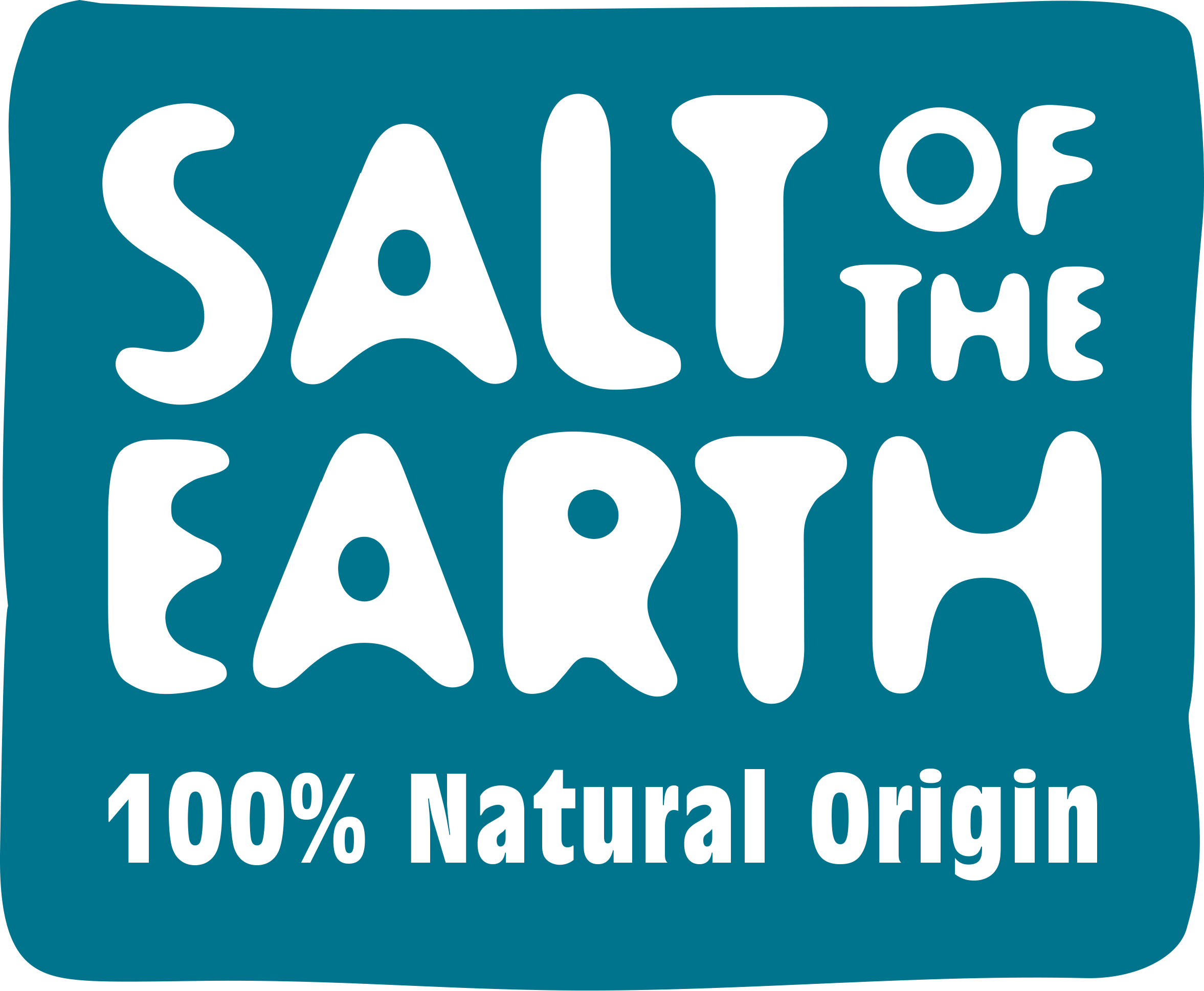 logo for Salt Of The Earth