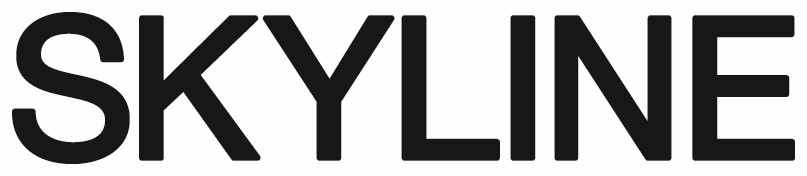 logo for Skyline Property Solutions Ltd