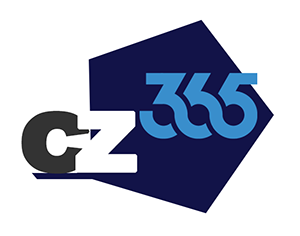 logo for Consultantz365