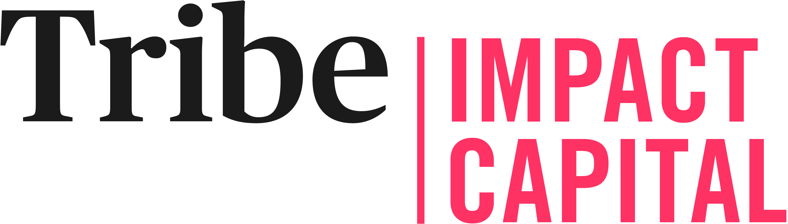 logo for Tribe Impact Capital