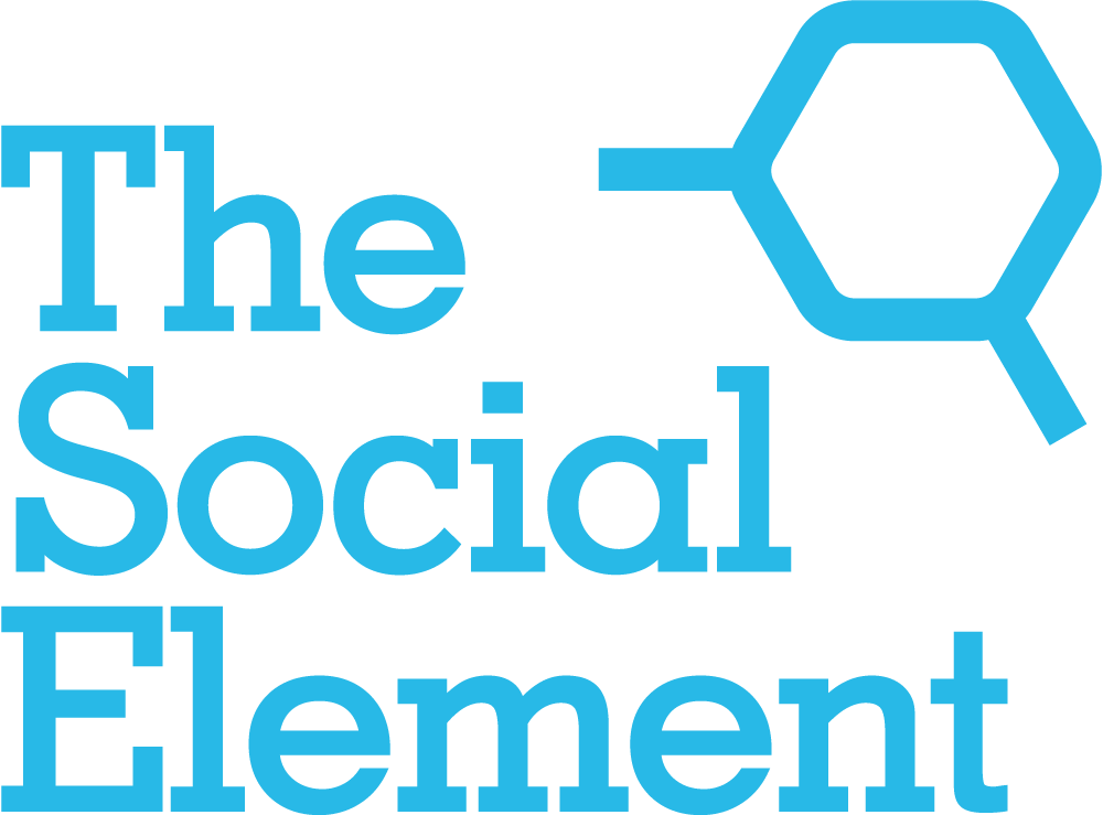 logo for The Social Element